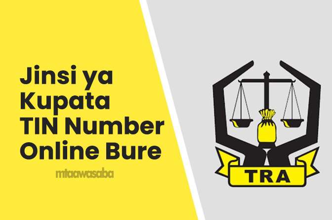 jinsi ya kupata tin number online